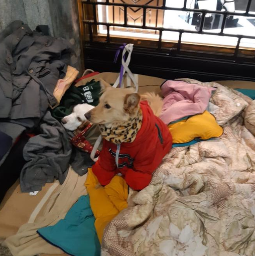 Da Pray a Torino tra i senza tetto