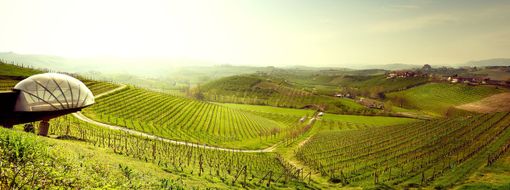 Piemonte da scoprire: un itinerario tra arte, enogastronomia e shopping con Torino Outlet Village Piemonte da scoprire: un itinerario tra arte, enogastronomia e shopping con Torino Outlet Village
