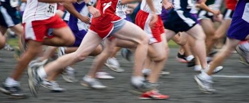 Gattinara, un allenamento ricreativo in vista della Brutal Wine Marathon Gattinara, un allenamento ricreativo in vista della Brutal Wine Marathon