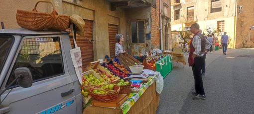 Sostegno, la 22° edizione della festa della mela: una tradizione storica. Foto e Video di Claudia Crolla. Sostegno, la 22° edizione della festa della mela: una tradizione storica. Foto e Video di Claudia Crolla.