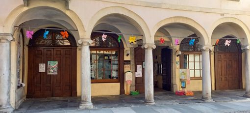 Varallo: Una biblioteca coi fiocchi e piena di fiori per le api dei bambini di Crevola Varallo: Una biblioteca coi fiocchi e piena di fiori per le api dei bambini di Crevola