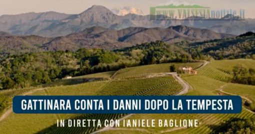 Gattinara conta i danni dopo la tempesta. Diretta con Daniele Baglione - VIDEO