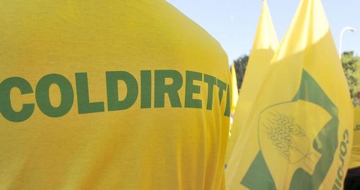 Coldiretti: “Coldiretti Piemonte: ok addio a green pass ma ora velocizzare procedure per ingresso lavoratori stranieri”