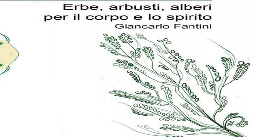 Romagnano Sesia, presentazione del libro "Erbe, arbusti, alberi per il corpo e lo spirito" Romagnano Sesia, presentazione del libro "Erbe, arbusti, alberi per il corpo e lo spirito"