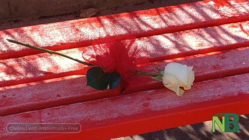 25 novembre, Giornata contro la violenza sulle donne: una donna su tre è vittima di violenza