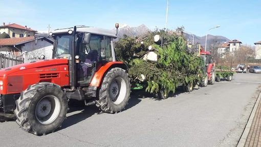 A Pray parte il taglio di piante malate e pericolose, sindaco: “Dobbiamo curare una delle aree verdi più belle del Biellese orientale” A Pray parte il taglio di piante malate e pericolose, sindaco: “Dobbiamo curare una delle aree verdi più belle del Biellese orientale”