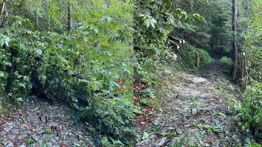 Quarona, intervento A.I.B. sul sentiero di Lombaretto