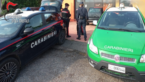 Autofficina abusiva: sanzioni e denuncia per il titolare Autofficina abusiva: sanzioni e denuncia per il titolare