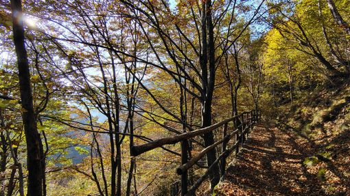 Sentieri tra Campello Monti, Rimella e il Vallone di Roj: finanziato il progetto di ripristino nella Valsesia