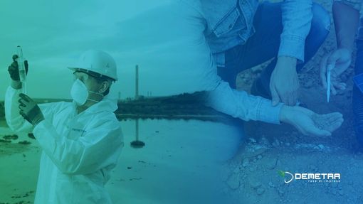 Foto rete Demetra Foto rete Demetra