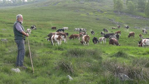 Servizi di Ruggero Coltro, Claudio Nicola e Daniele Agazzone