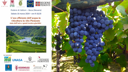 Alto Piemonte: l’uso efficiente dell’acqua in viticoltura. Alto Piemonte: l’uso efficiente dell’acqua in viticoltura.