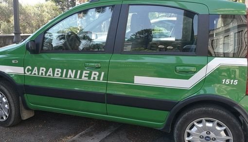 C'è il divieto ma brucia sterpaglie, multa da 600 euro per un uomo di Crevacuore (foto di repertorio) C'è il divieto ma brucia sterpaglie, multa da 600 euro per un uomo di Crevacuore (foto di repertorio)