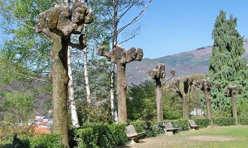 Valdilana, in arrivo il primo appuntamento per le famiglie al Parco Reda di Valle Mosso