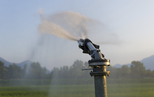 Approvati dal Consiglio regionale due emendamenti a favore dell’agricoltura piemontese Approvati dal Consiglio regionale due emendamenti a favore dell’agricoltura piemontese