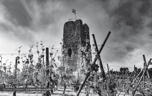 Ventitrè fotografie che raccontano "Luoghi e vita gattinaresi" Ventitrè fotografie che raccontano "Luoghi e vita gattinaresi"