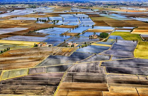 Risicoltura, Piemonte insieme a Lombardia ed Ente Risi a sostegno del comparto