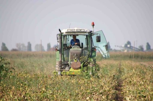 Carburanti agricoli: Confagricoltura chiede di rivedere il sistema delle assegnazioni