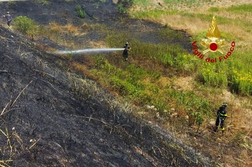 Da Vercelli: Incendio di sterpaglie lungo la A26/A4, intervento dei Vigili del Fuoco a Vercelli Da Vercelli: Incendio di sterpaglie lungo la A26/A4, intervento dei Vigili del Fuoco a Vercelli