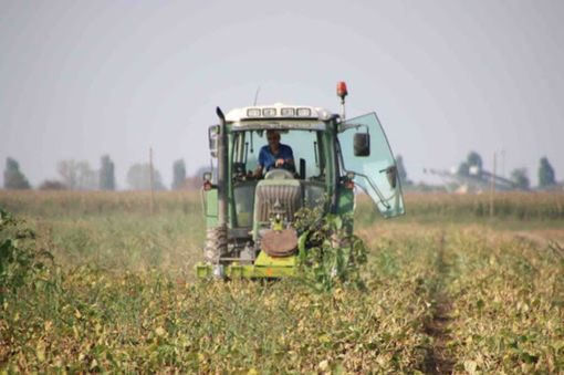 Coldiretti Vercelli-Biella in piazza a Strasburgo per fermare la follia della Von Der Leyen e salvare l’agricoltura europea Coldiretti Vercelli-Biella in piazza a Strasburgo per fermare la follia della Von Der Leyen e salvare l’agricoltura europea