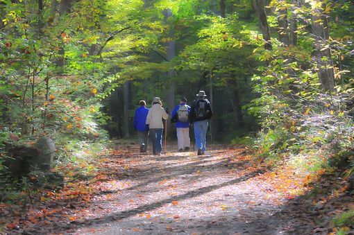 Montagne covid free: il piano piemontese