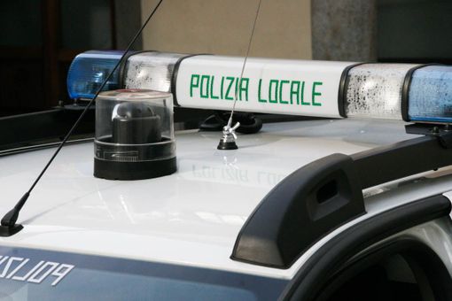 Dal nord ovest. Macabro ritrovamento a Cameri: sacchi con resti di animali mutilati