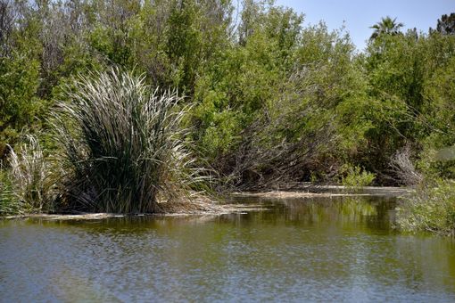 Risorse idriche, in arrivo dal Masaf oltre 3,3 milioni per microinvasi e interventi irrigui in agricoltura Risorse idriche, in arrivo dal Masaf oltre 3,3 milioni per microinvasi e interventi irrigui in agricoltura