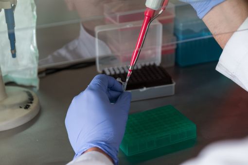 1° dicembre giornata mondiale contro AIDS: calo significativo del virus HIV in Piemonte