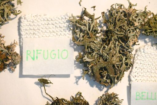 “Nidi, nodi. Fluidi”, di Sonia Arienta