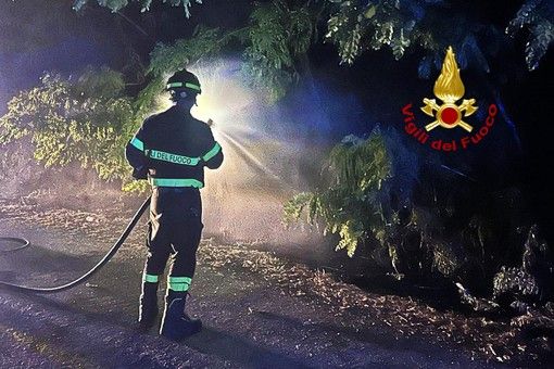 Incendio di sterpaglie in corso Rigola a Vercelli: intervento tempestivo dei Vigili del Fuoco scongiura danni maggiori Incendio di sterpaglie in corso Rigola a Vercelli: intervento tempestivo dei Vigili del Fuoco scongiura danni maggiori