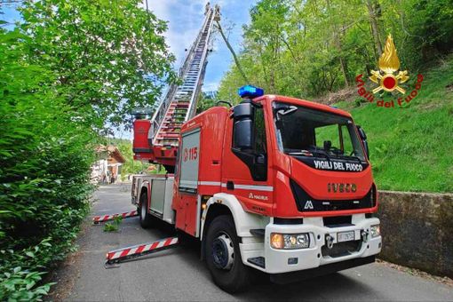 Albero pericolante a Borgosesia, intervengono i Vigili del Fuoco