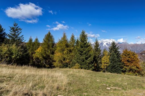 Questo weekend l’ultima apertura estiva della seggiovia Scopello-Mera. Gli impianti di Alagna saranno in funzione fino a domenica 18 settembre. Questo weekend l’ultima apertura estiva della seggiovia Scopello-Mera. Gli impianti di Alagna saranno in funzione fino a domenica 18 settembre.