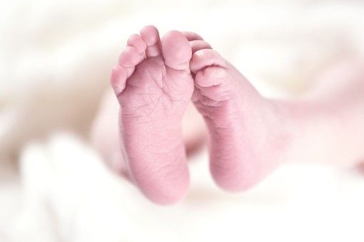 Valsesia, sempre meno culle: in dieci anni la natalità è diminuita Valsesia, sempre meno culle: in dieci anni la natalità è diminuita