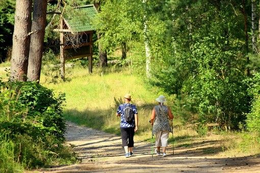 Camminando nella natura: le proposte estive delle Guide Ufficiali della Valsesia Camminando nella natura: le proposte estive delle Guide Ufficiali della Valsesia