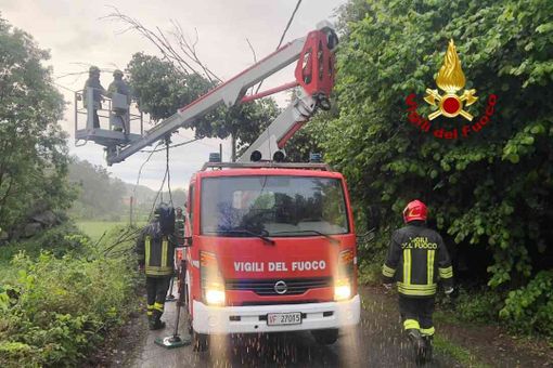 Quarona: Albero pericolante su cavi della luce, messa in sicurezza a cura dei Vigili del Fuoco