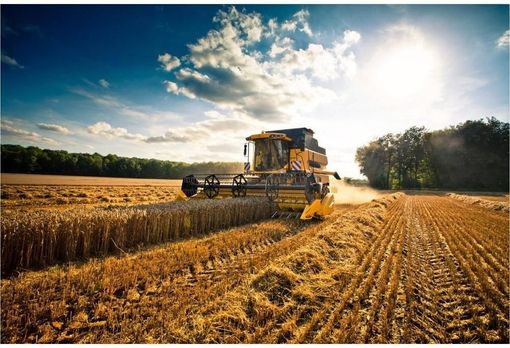 PSR 2014-2020, il Piemonte è la regione con più fondi erogati. Protopapa: “Aiuto concreto alle aziende agricole in emergenza Covid” PSR 2014-2020, il Piemonte è la regione con più fondi erogati. Protopapa: “Aiuto concreto alle aziende agricole in emergenza Covid”