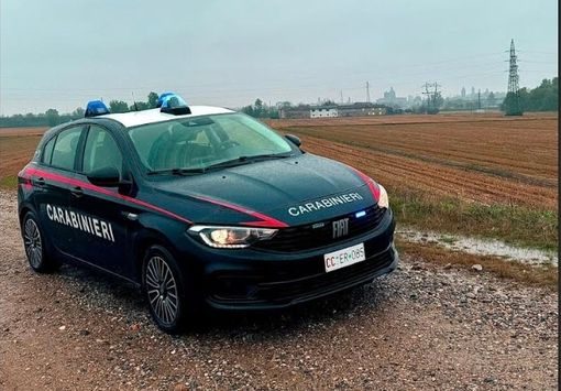 Evade dai domiciliari per andare a rubare in una ditta: arrestato Evade dai domiciliari per andare a rubare in una ditta: arrestato