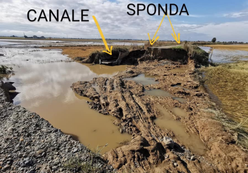 Argini e canali irrigui completamente devastati: "Siamo senza difese" - FOTO Argini e canali irrigui completamente devastati: "Siamo senza difese" - FOTO