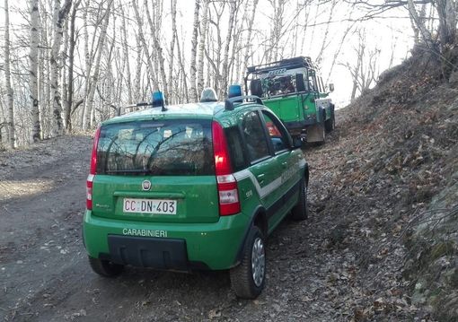 Carabinieri forestali, da mercoledì 8 aprile stato di massima pericolosità incendi boschivi