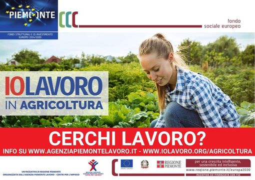 Coronavirus, "Io Lavoro in Agricoltura". Iniziativa della regione Piemonte
