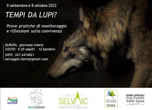 TEMPI DA LUPI? Escursioni sul tema del lupo nel Parco Naturale Alta Valsesia