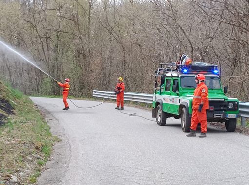 Caprile, sterpaglie a fuoco a lato della strada (foto dalla pagina Facebook di Corpo AIB Piemonte) Caprile, sterpaglie a fuoco a lato della strada (foto dalla pagina Facebook di Corpo AIB Piemonte)