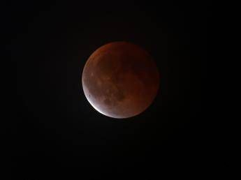 Luna di sangue, oggi l'eclissi totale: cos'è e quando vederla Luna di sangue, oggi l'eclissi totale: cos'è e quando vederla