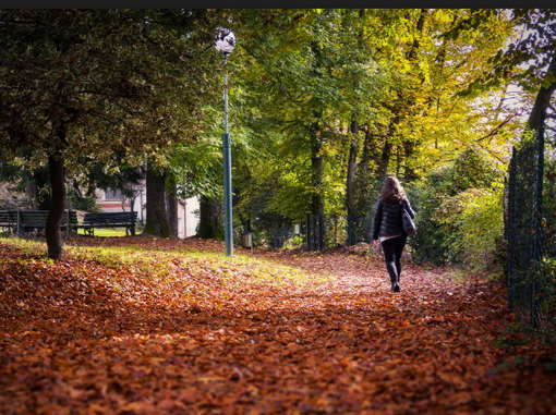Borgosesia, parco Magni: In arrivo il bando 2022-2027 Borgosesia, parco Magni: In arrivo il bando 2022-2027