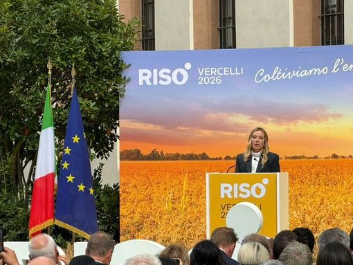 Risò, a Vercelli dall’11 al 13 settembre il confronto internazionale sul futuro del riso europeo. Lollobrigida: necessario difendere cultura del riso