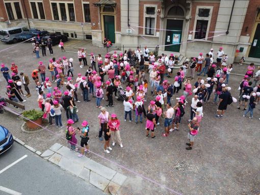 Torna in Valsessera la terza edizione della Camminata in Rosa (foto delle scorse edizioni) Torna in Valsessera la terza edizione della Camminata in Rosa (foto delle scorse edizioni)
