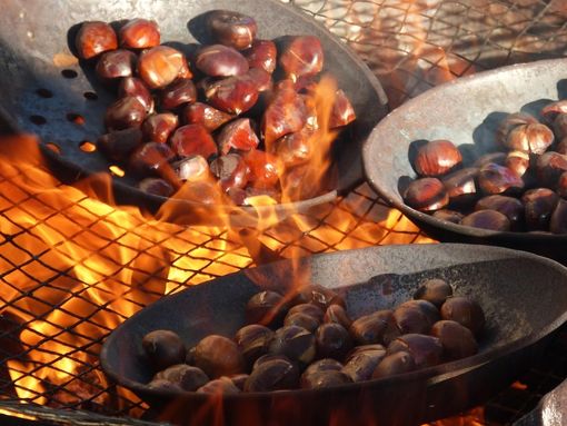 Torna a Valdilana la castagnata benefica della Pro Loco di Trivero Torna a Valdilana la castagnata benefica della Pro Loco di Trivero