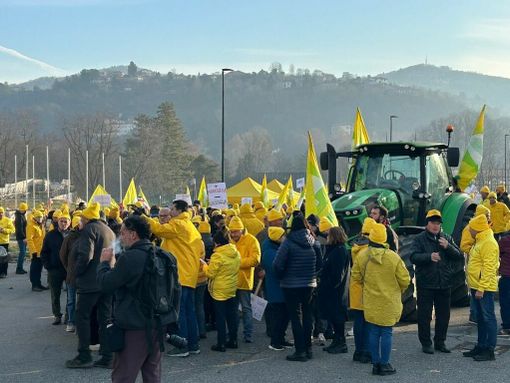Un fiume giallo invade Torino: migliaia di agricoltori chiedono al Piemonte di “darsi un andi”