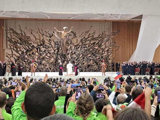 Regione, anche la Protezione Civile del Piemonte all’udienza di fine Giubileo con il papa