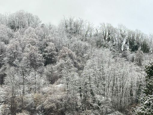 “Quadri invernali” anche in Valsessera, gli scatti da Crevacuore (foto di Ermanno Orsi)